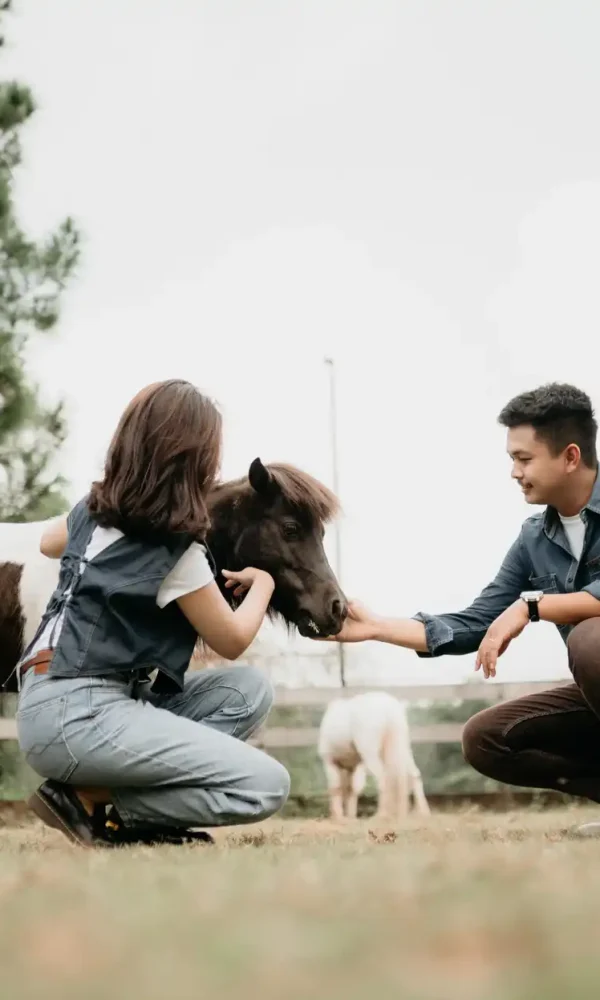 WhatsApp Image 2025-03-17 at 2.00.30 PM