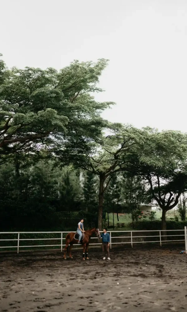 WhatsApp Image 2025-03-17 at 2.00.32 PM