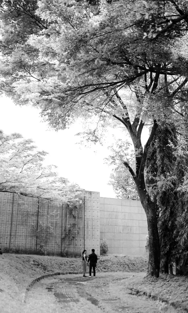 WhatsApp Image 2025-03-17 at 2.00.36 PM